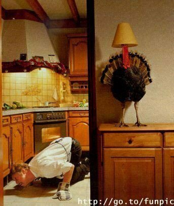 turkey.bmp